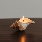 Sea Whisper Shell Candle – Gardenia Scent