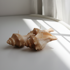 Sea Whisper Shell Candle – Gardenia Scent